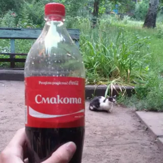 Coca Cola drink plastic bottle 1.5L — photo 2
