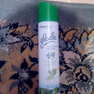 Air Freshener Spray Morning Dew 300ml Can — photo 2
