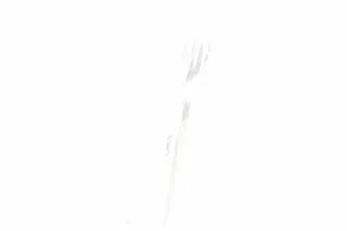 Pomoshnitsa Disposable Forks 10pcs — photo 4