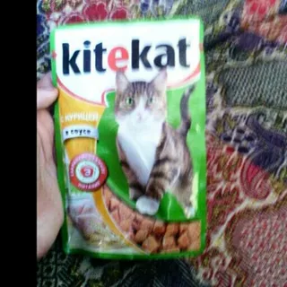 Kitekat Chicken Food 100g — photo 6