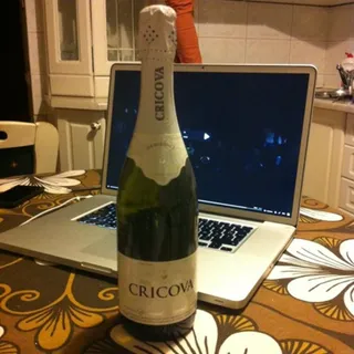 Cricova Sparkling Semi-Sweet White Wine 10.5-13.5% 0.75L — photo 2