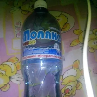 Aleks Polyana Kvasyva No.8 Mineral Water Plastic Bottle 1.5L — photo 5