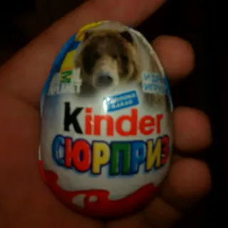 Kinder Surprise Milk Chocolate Egg for Girls T36 Foil 20g — photo 9