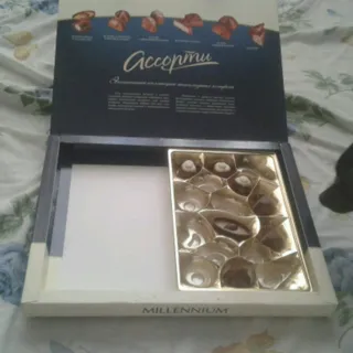 Millennium Elegance Assorted Milk Chocolate Box 285g — photo 5