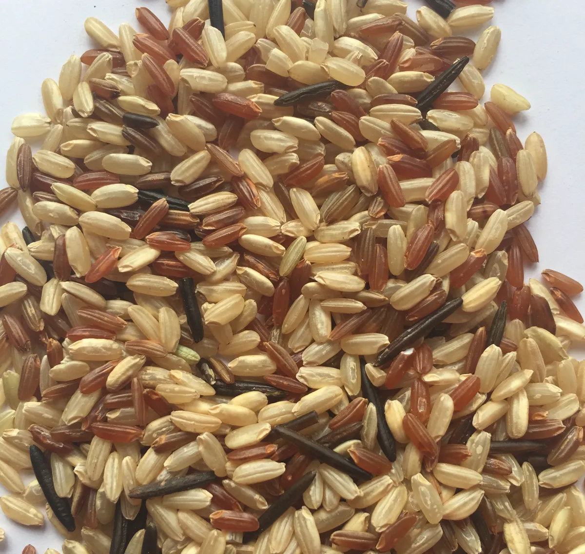 rice.boutique «ОСІНЬ ЗАЛ» Органічний дикий рис 400г MIX (2 х 200 г упаковки)
