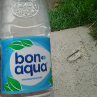 Bonaqua Mineral Still Water Plastic Bottle 1L — photo 9