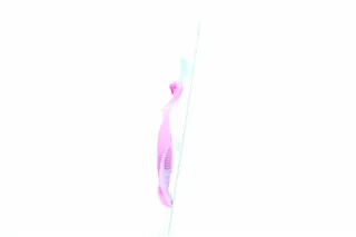 Gillette Venus Women's Razor with 1 Cartridge — photo 3