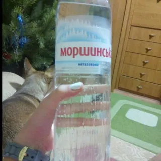 Morshynska Mineral Water Still Plastic Bottle 1.5L — photo 7