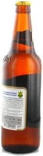 Chernihivske Premium Light Beer 500ml — photo 5