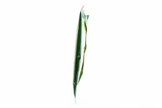 Bay Leaf Eko Dry 10g — photo 6