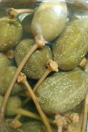 Agostinorecca Capers Berries with Stems in Vinegar - 2 Pack - 10.9 oz