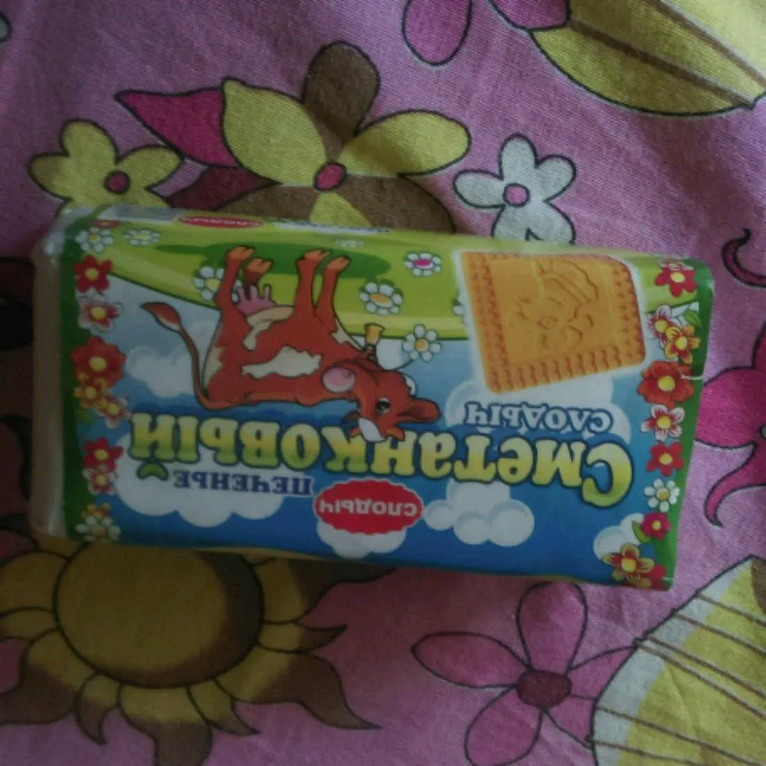 Slodych Sour Cream Sugar Cookies 100g