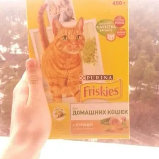 Friskies Cat Food with Chicken and Garden Herbs 400g — photo 9