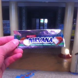 NirvanaDoma Coconut Bar ZhytLasoshchi 40g — photo 5