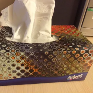 Selpak Maxi 3-ply Napkins Box 100pcs — photo 3