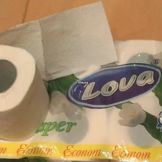 Dyvo Economy White 2-Ply Toilet Paper 8pcs — photo 6