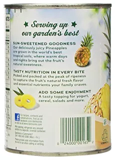 Del Monte Pineapple Chunks 100% Pineapple Juice 20oz (2ct) — photo 3