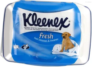 Kleenex Cottonelle Clean Care Moist Toilet Paper White 42pcs — photo 3