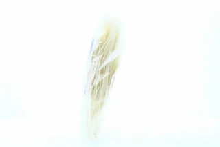 Hokkaido Club Rice Vermicelli 300g — photo 5