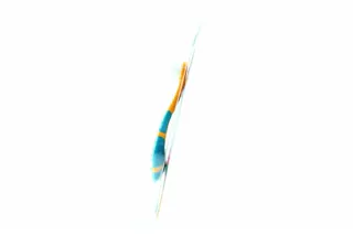 Jordan Step Children's Toothbrush x6 — photo 3