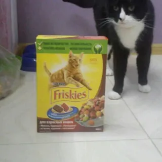 Friskies Cat Food (chicken) 400g — photo 2