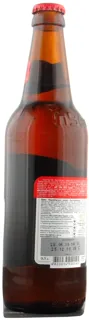 Chernihivske Strong Light Beer 7.3% 500ml — photo 3
