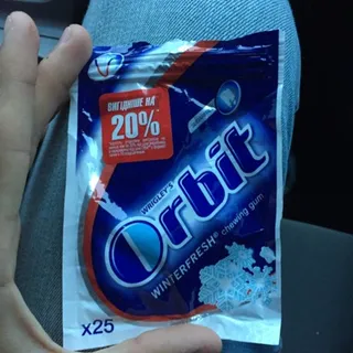 Orbit Winter Fresh Chewing Gum 25 Pieces 35g — photo 4