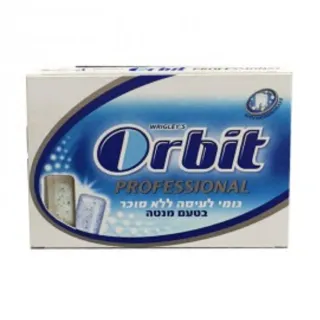 Orbit Professional Chewing Gum 14g — photo 5