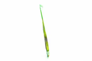 Kamis Bay Leaf 5g — photo 8