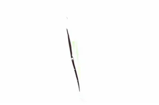Wasabi Hokkaido Club dry soft pack 30g — photo 2