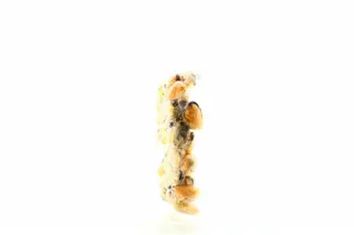 Skandinavika Cooked Mussel Meat 230g — photo 4