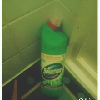 Domestos Pine Fresh Universal Cleaner Plastic Bottle 1L — photo 6