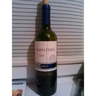 Frontera Merlot Wine 0.75L — photo 3