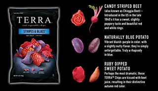 TERRA Strips and Blues Sea Salt 6.5 oz (12 pack) — photo 2