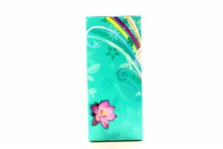 Discreet Deo Daily Pads Water Lily Multiform 60pcs — photo 2