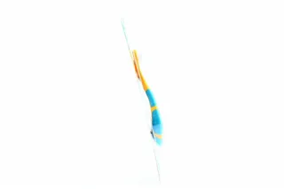 Jordan Step Children's Toothbrush x6 — photo 2