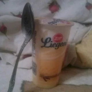 Zott Liegeois Vanilla Dessert 3.4% 175g — photo 4