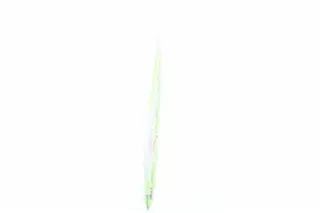 Eko Basil 10g — photo 3