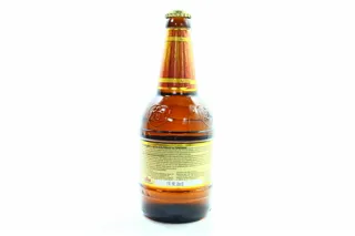 Dizhka Light Honey Beer Filtered Pasteurized 0.5L — photo 2