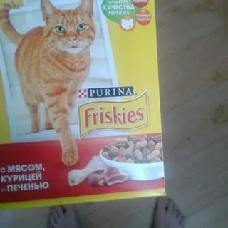 Dry Adult Cat Food Meat Liver Chicken 400g Carton — photo 7