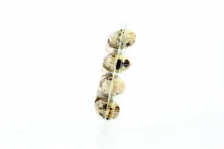 Agrosoyuz Fenix Quail Eggs 20pcs — photo 3