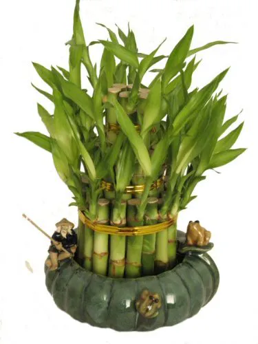kl design & import - Ваза Lucky Bamboo ручної роботи з кераміки, 3 рівня