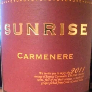 Sunrise Carmenere Wine 0.75L — photo 4