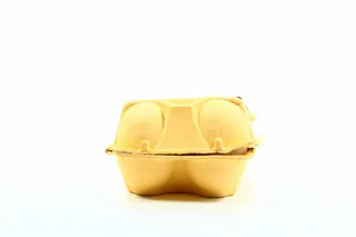 Yasensvit Chicken Eggs Tray 10pcs — photo 2