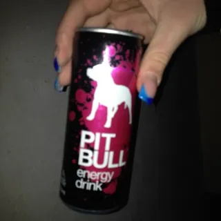 Pit Bull Energy Drink TIN 0.25L — photo 3
