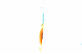Santa Bremor Lightly Salted Salmon Fillet Piece 200g — photo 3