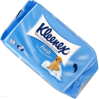 Kleenex Cottonelle Clean Care Wet Toilet Paper White 42pcs — photo 2