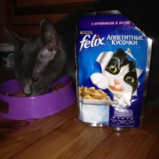 Felix Cat Food with Lamb 85g — photo 3