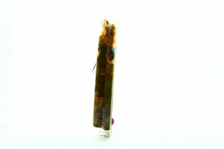 Seaweed Korean Style with Carrot Santa Bremor 250g — photo 2