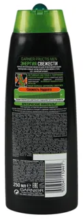 Garnier Fructis 2in1 Fresh Energy Shampoo 250ml Russia — photo 5